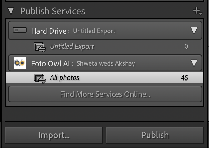 Lightroom Publish Services panel with Foto Owl AI event selected