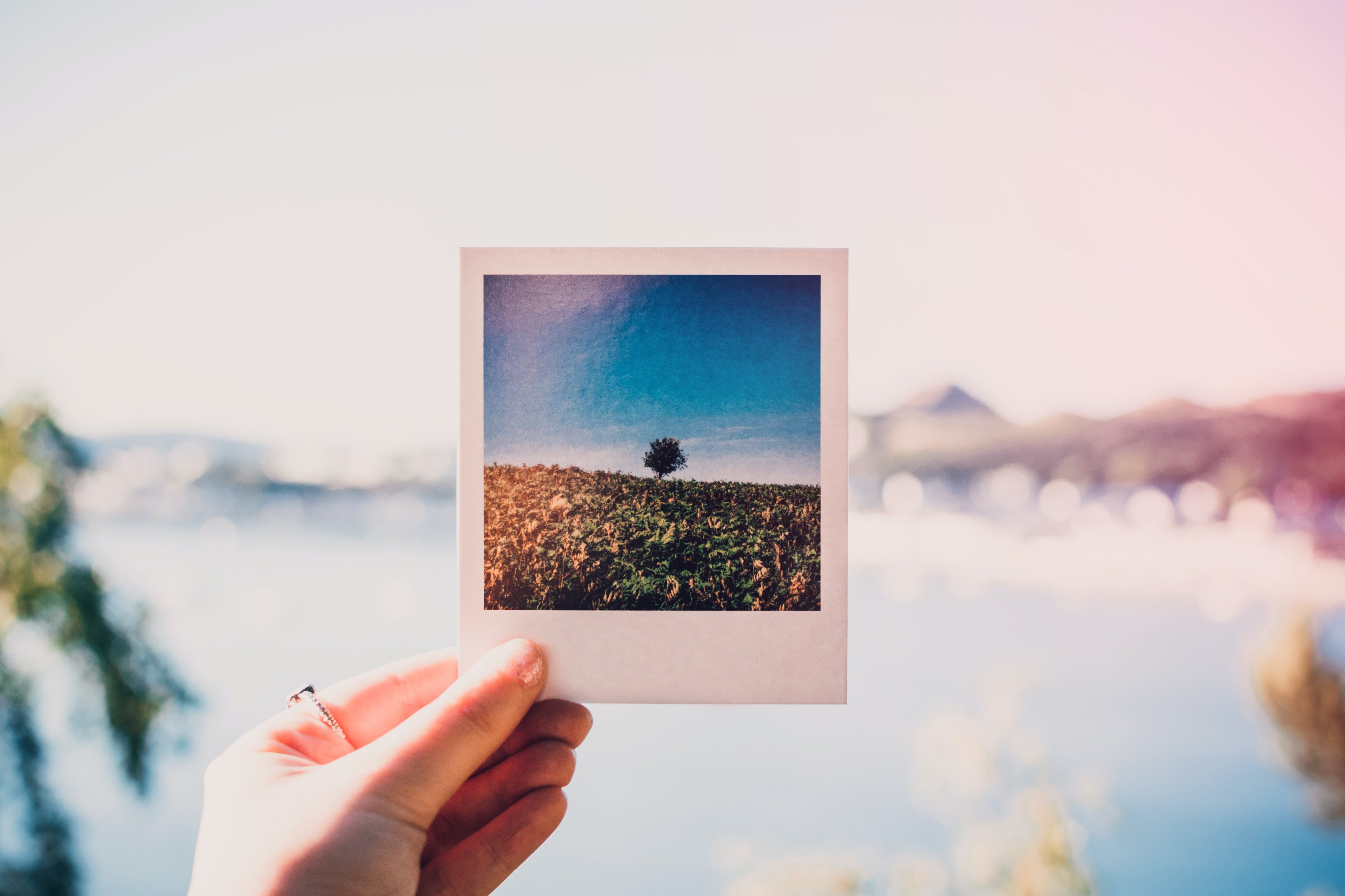 Photo by Lisa Fotios: https://www.pexels.com/photo/person-holding-photo-of-single-tree-at-daytime-1252983/